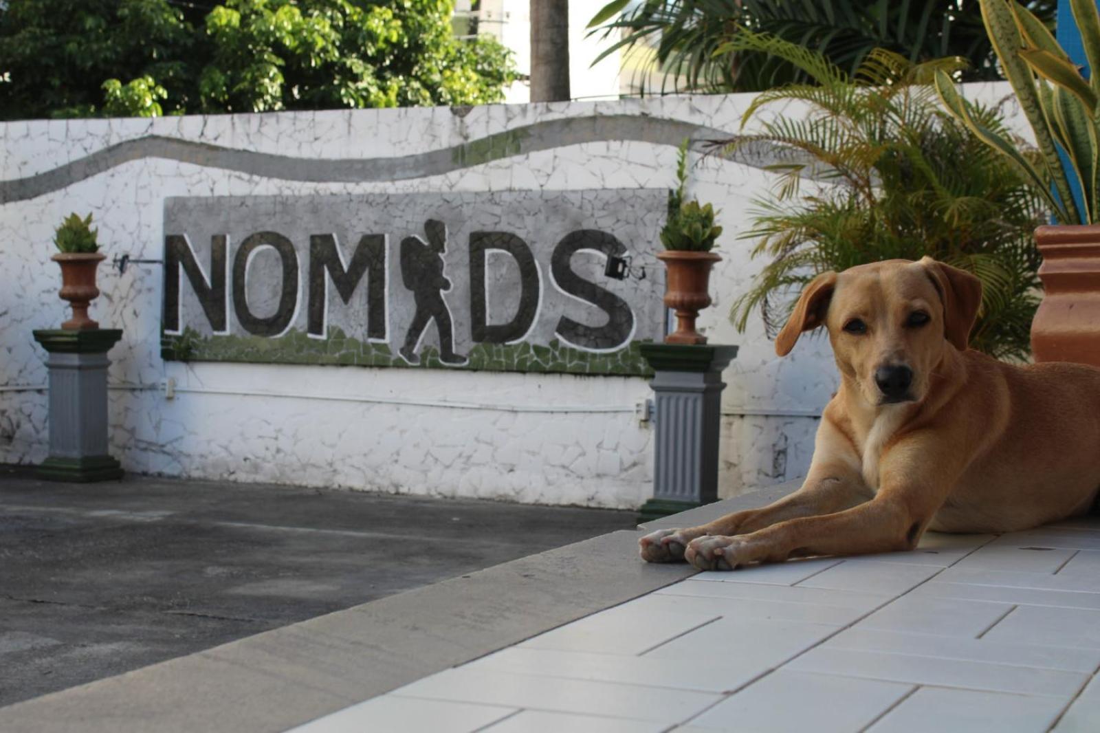 Nomads Hostel Multicultural & Coworking Salvador de Bahía Exterior foto